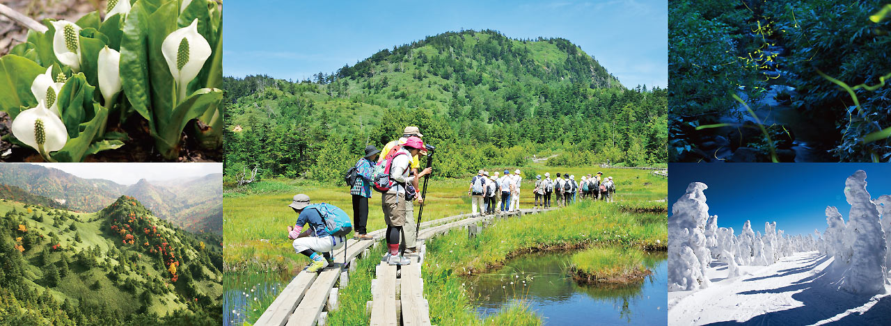 志賀高原はシーズンを通して自然を楽しめるエリア